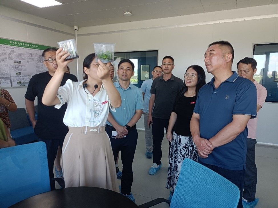 bwin必赢在线登入